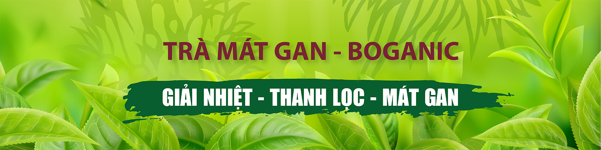 Trà mát gan - BOGANIC